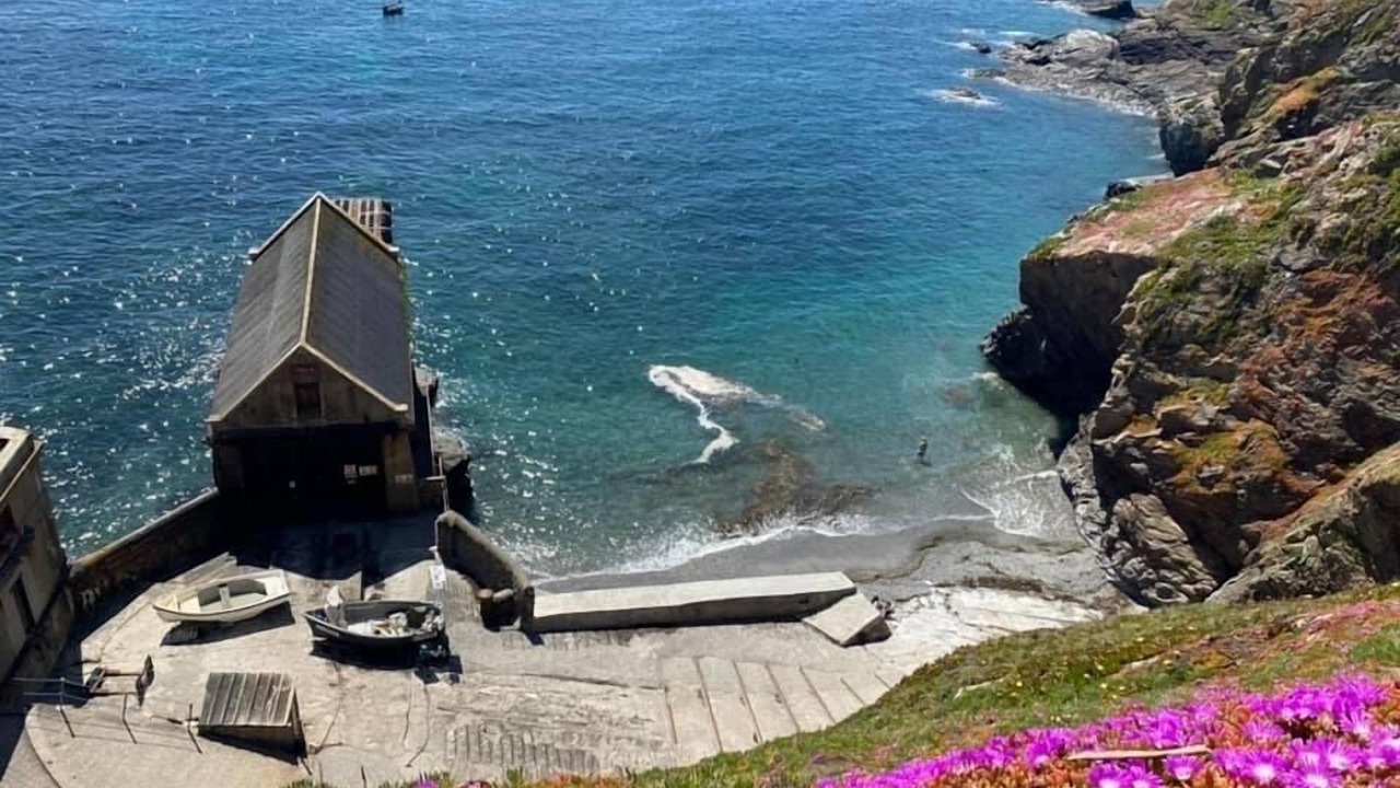 Photo of Others in Grade