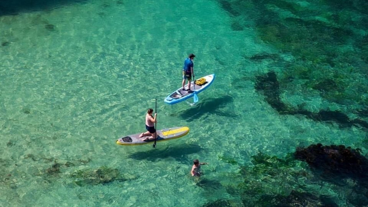 Photo of Others in Grade