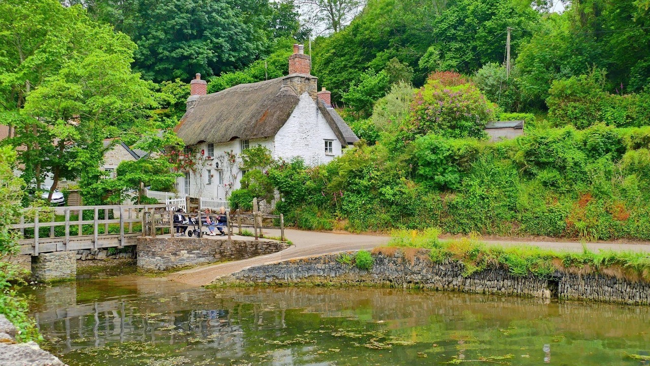 Photo of Others in Grade