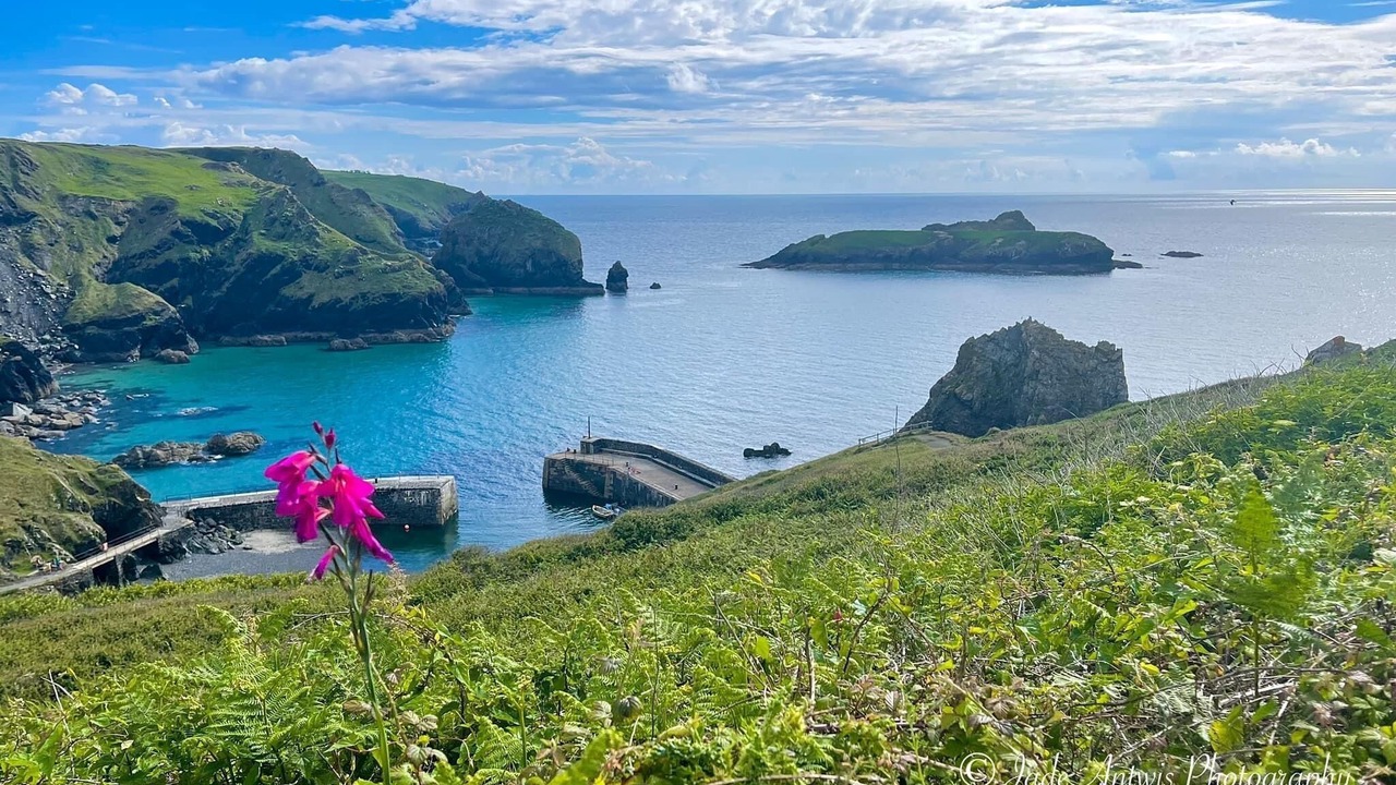 Photo of Others in Grade