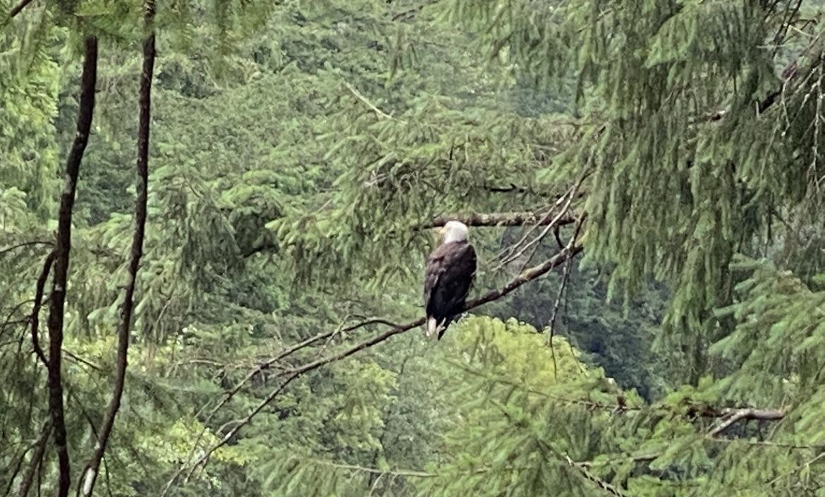 Photo of Others in Battle Ground