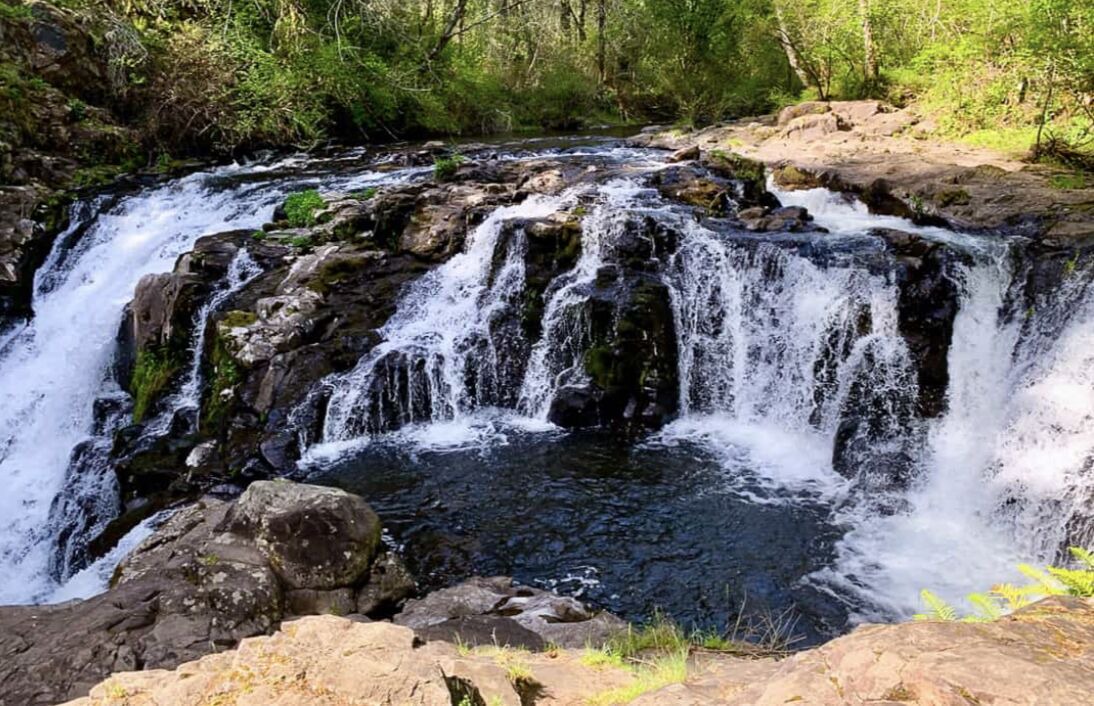 Photo of Outdoor in Battle Ground