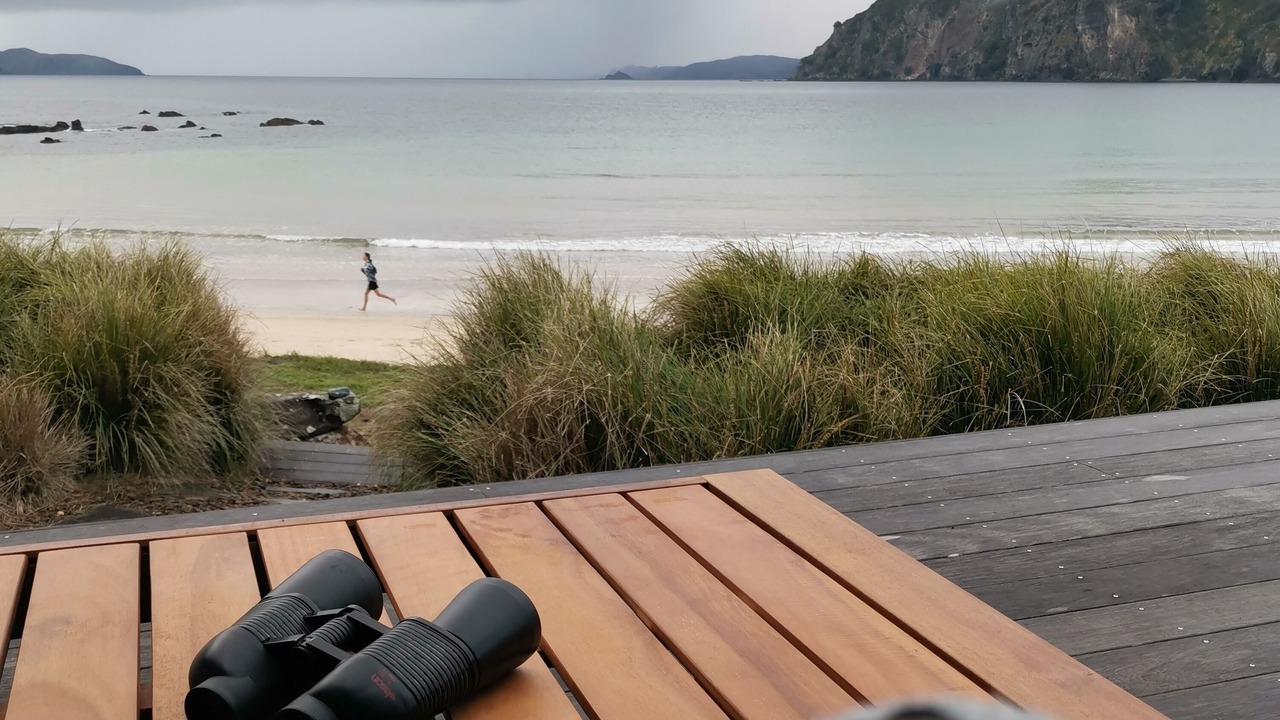 Photo of Others in Taupo Bay