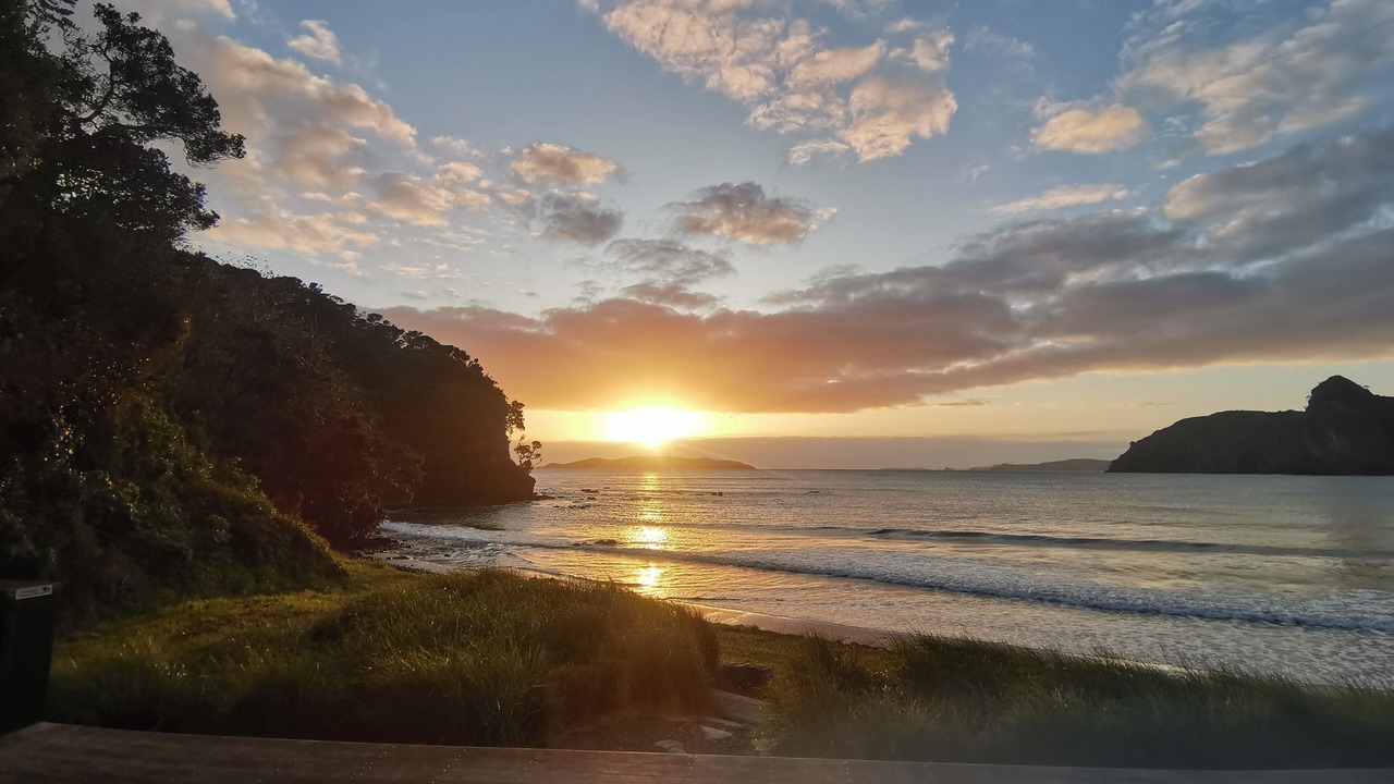 Photo of Others in Taupo Bay