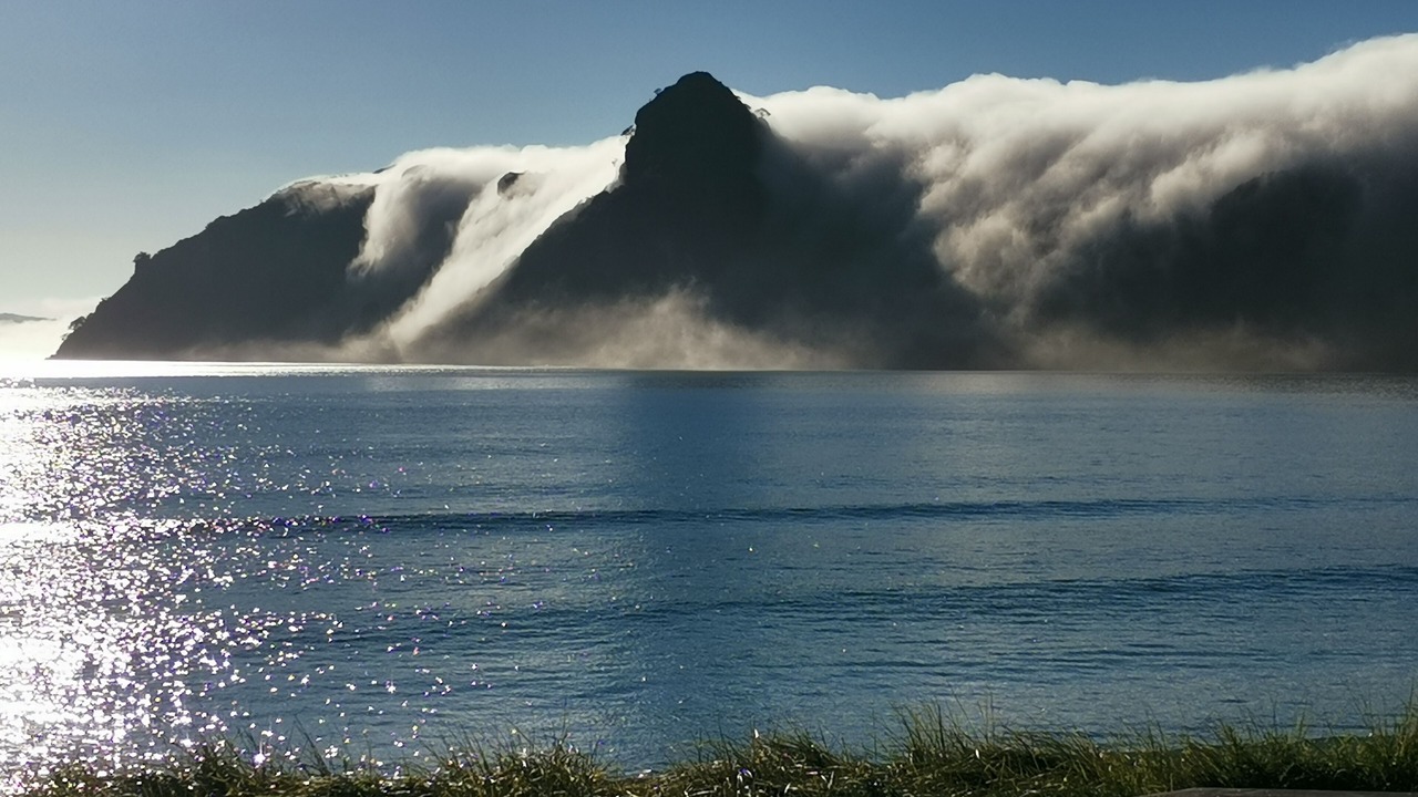 Photo of Others in Taupo Bay
