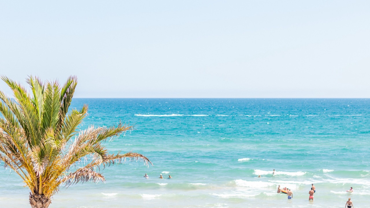 Photo of Others in Oliva