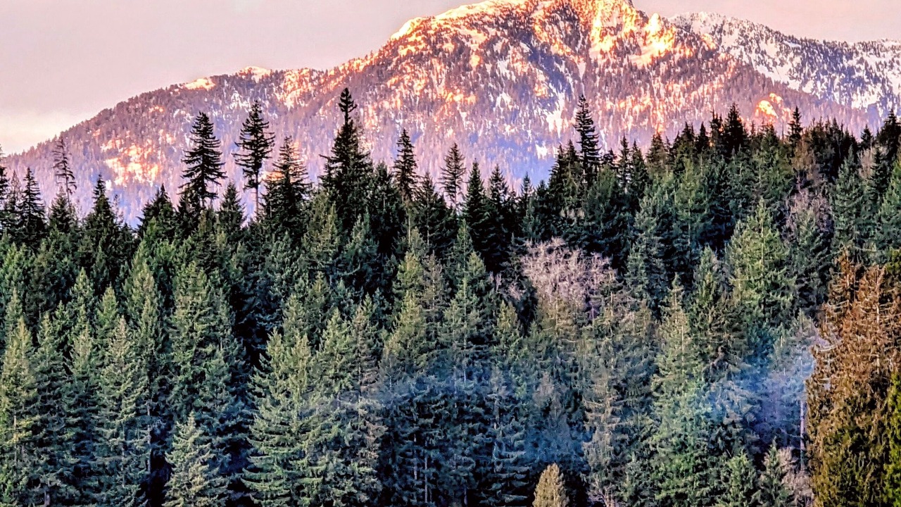 Photo of Others in Lake Roesiger