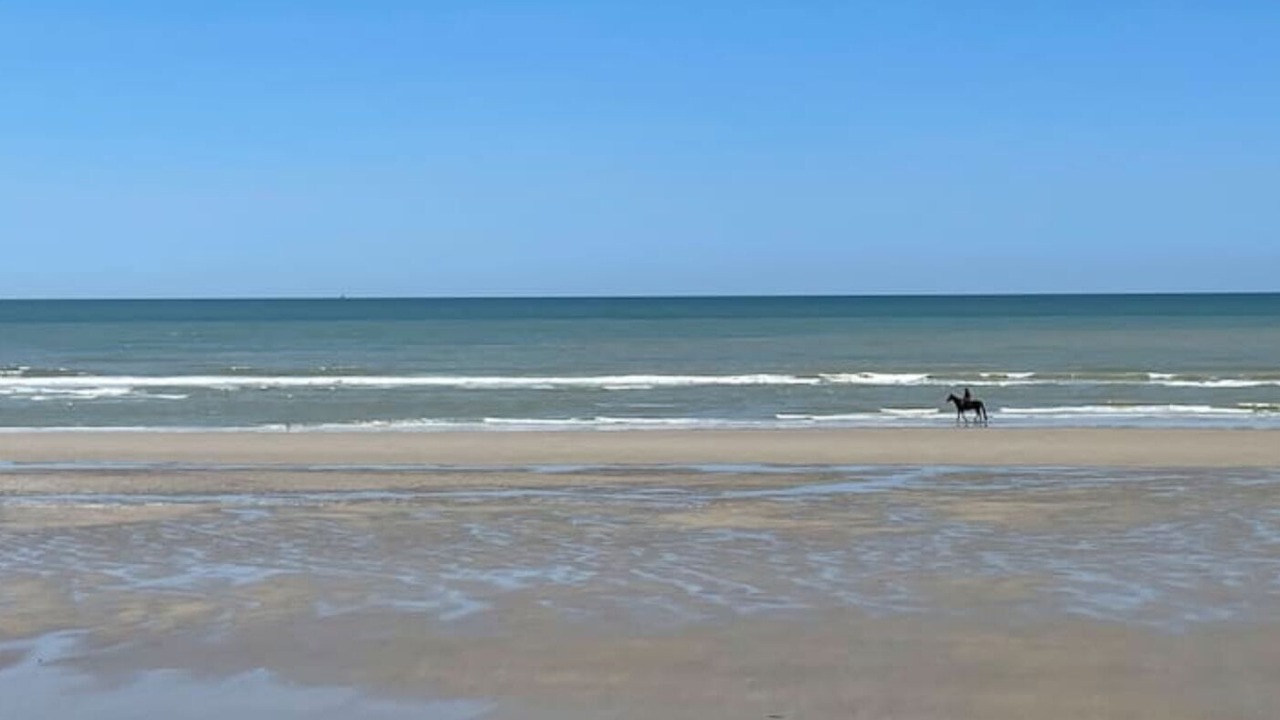 Photo of Others in Hardelot-Plage