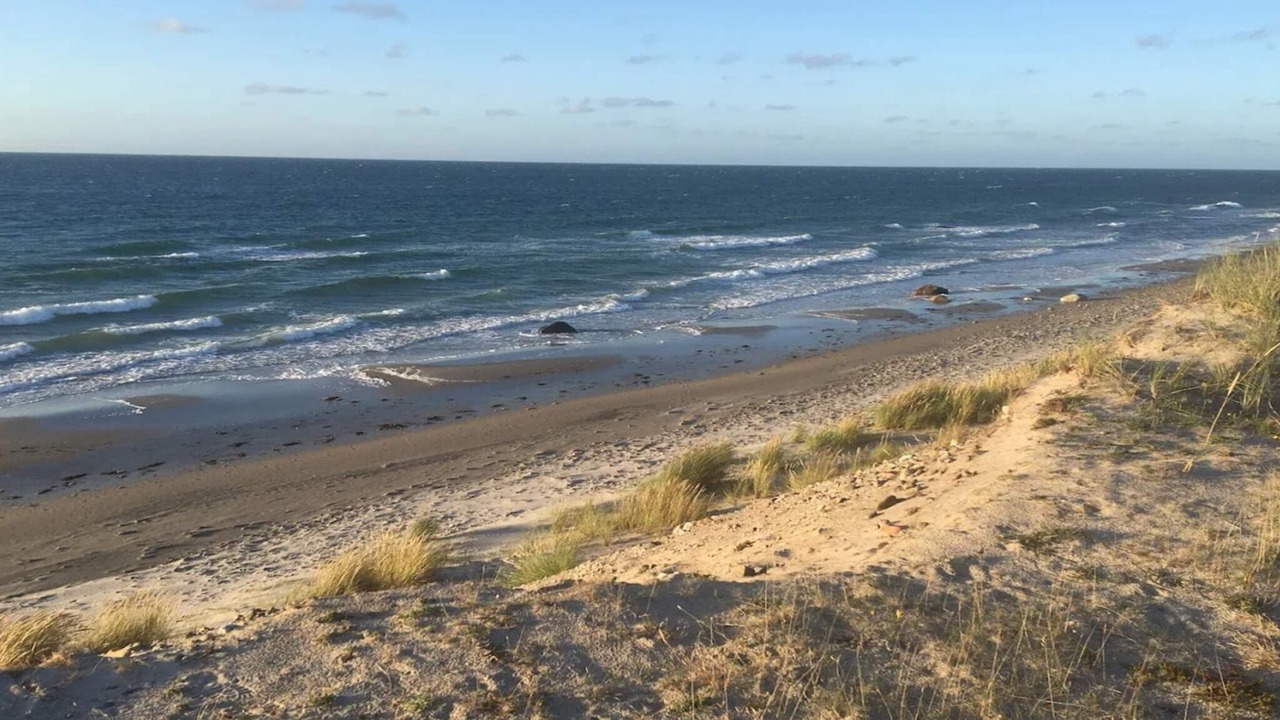 Photo of Others in Læsø