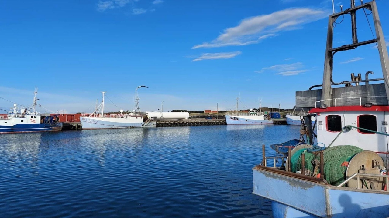 Photo of Others in Læsø