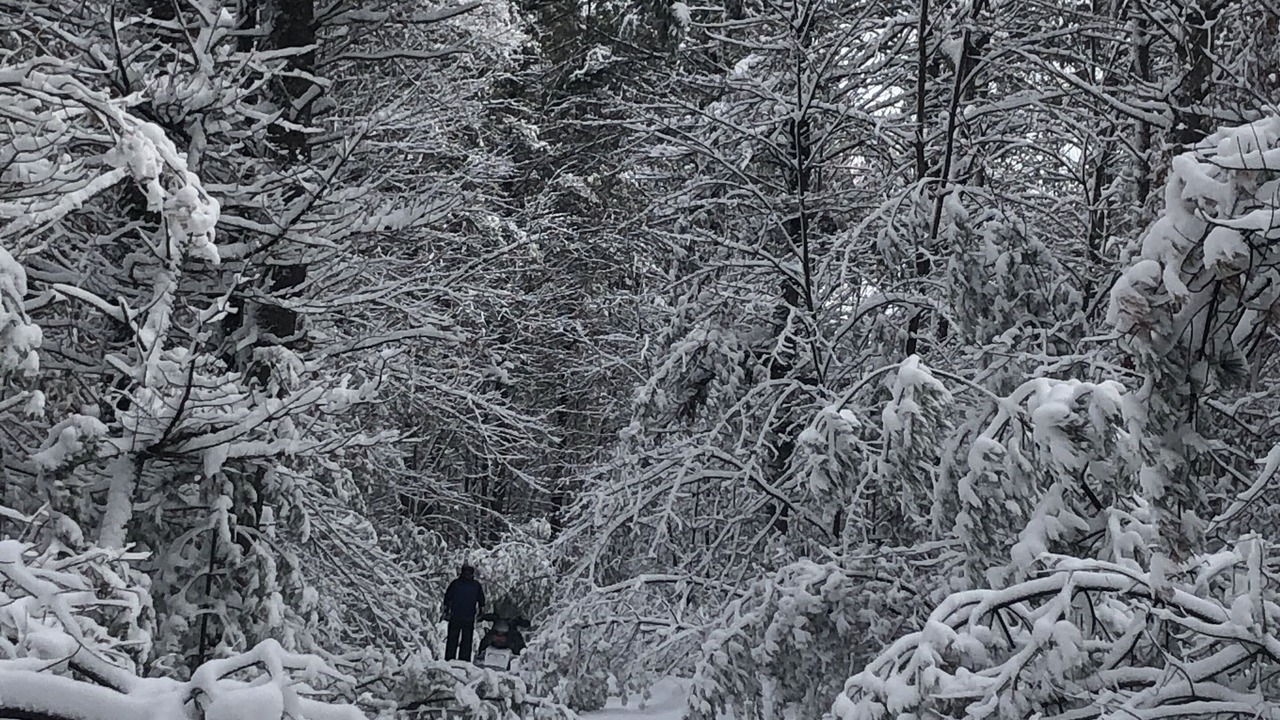 Photo of Others in Merrillan