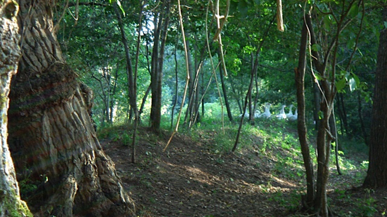 Photo of Outdoor in Valderredible