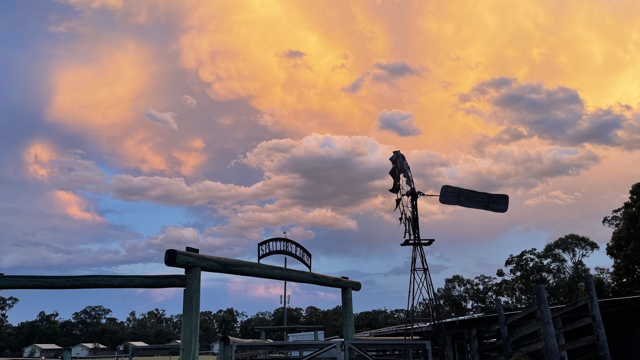 Photo of Outdoor in Sharon