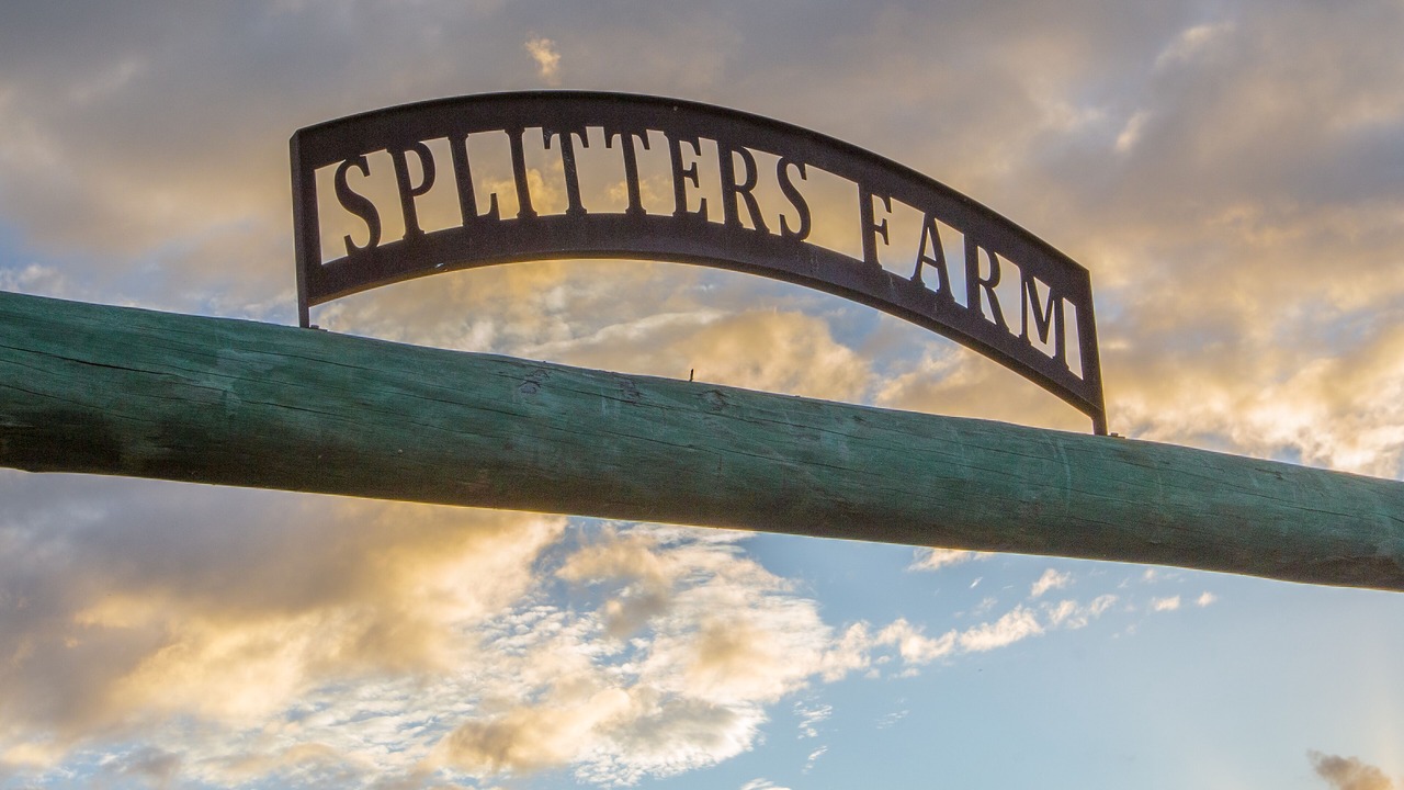 Photo of Outdoor in Sharon