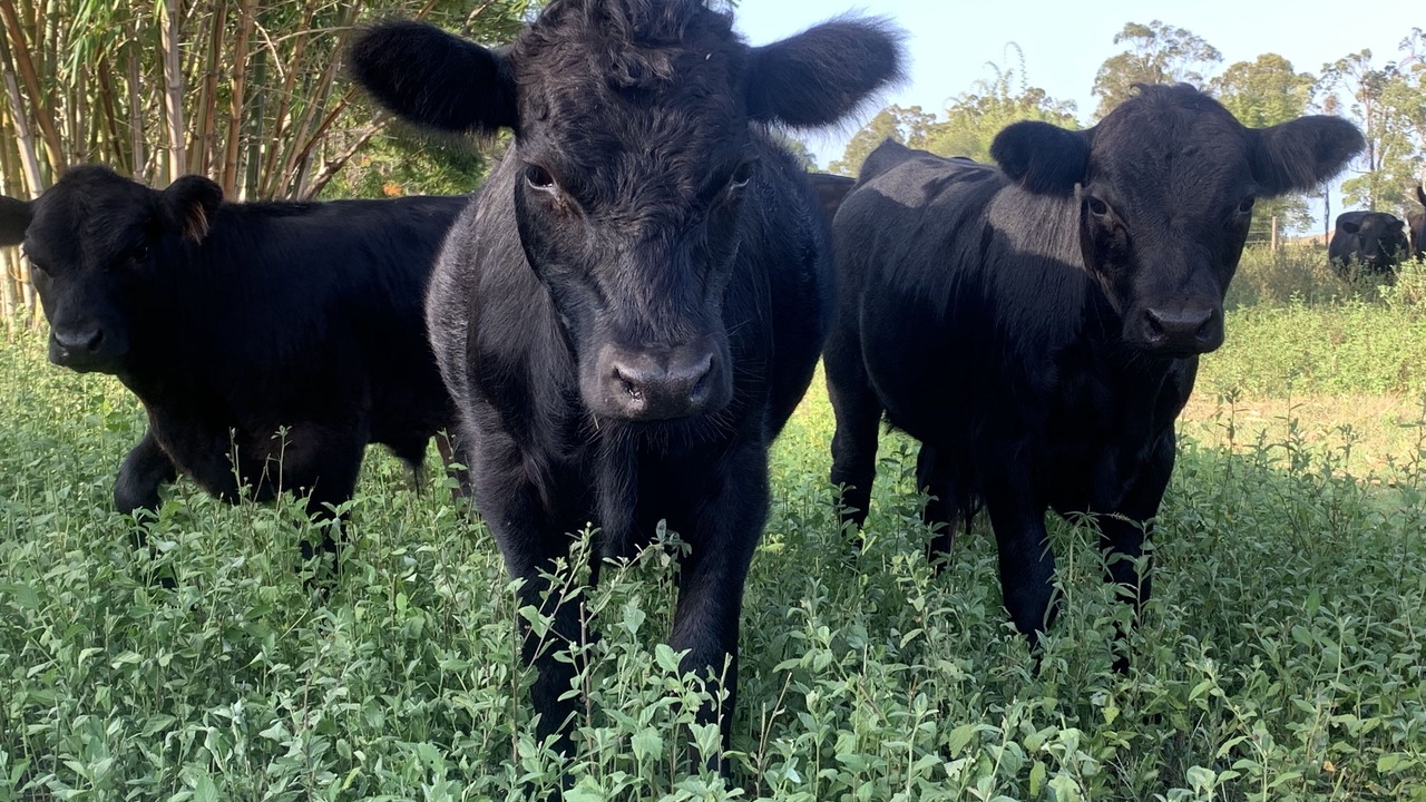 Photo of Outdoor in Sharon