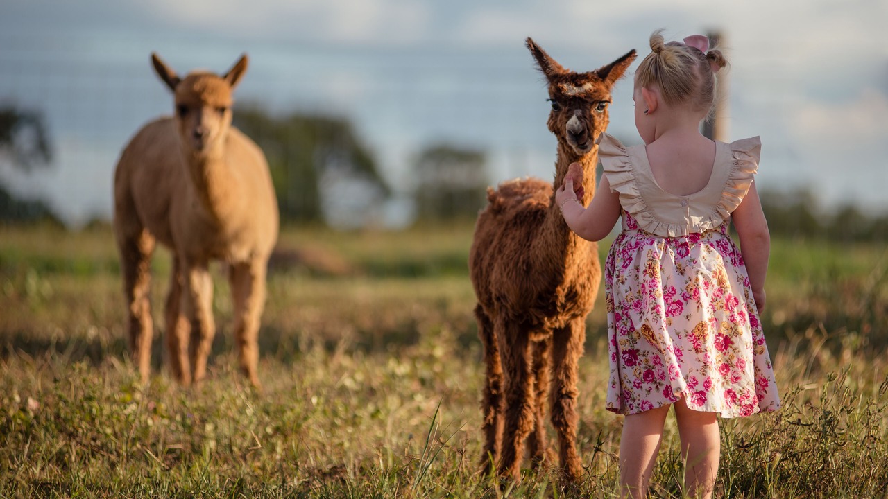 Photo of Outdoor in Sharon