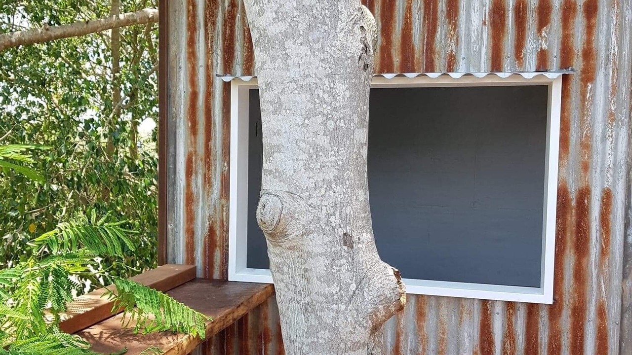 Photo of Outdoor in Sharon