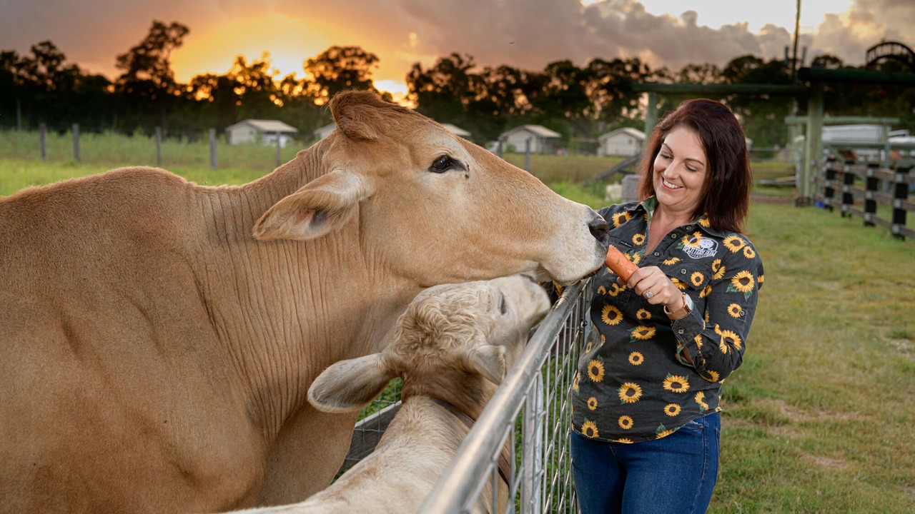 Photo of Others in Sharon