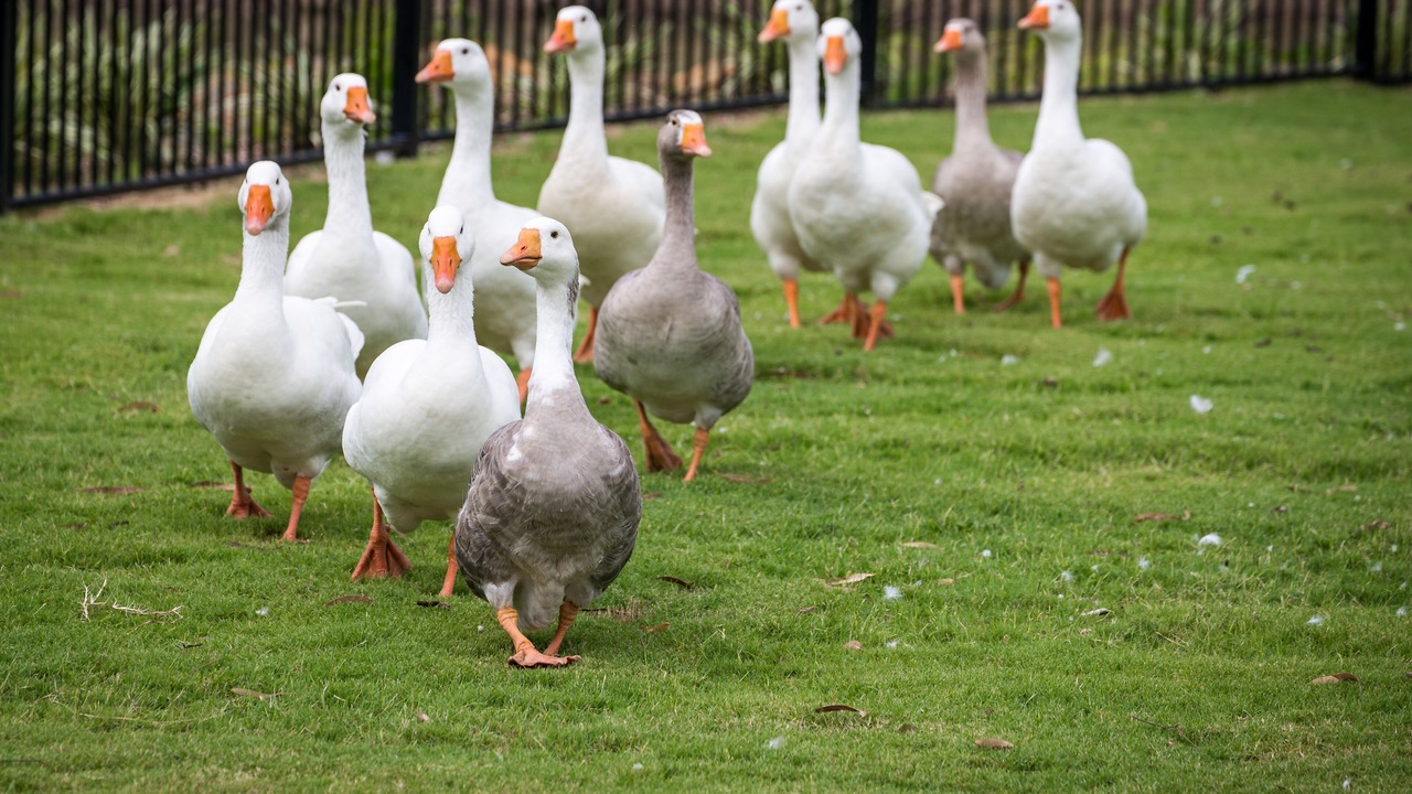 Photo of Outdoor in Sharon