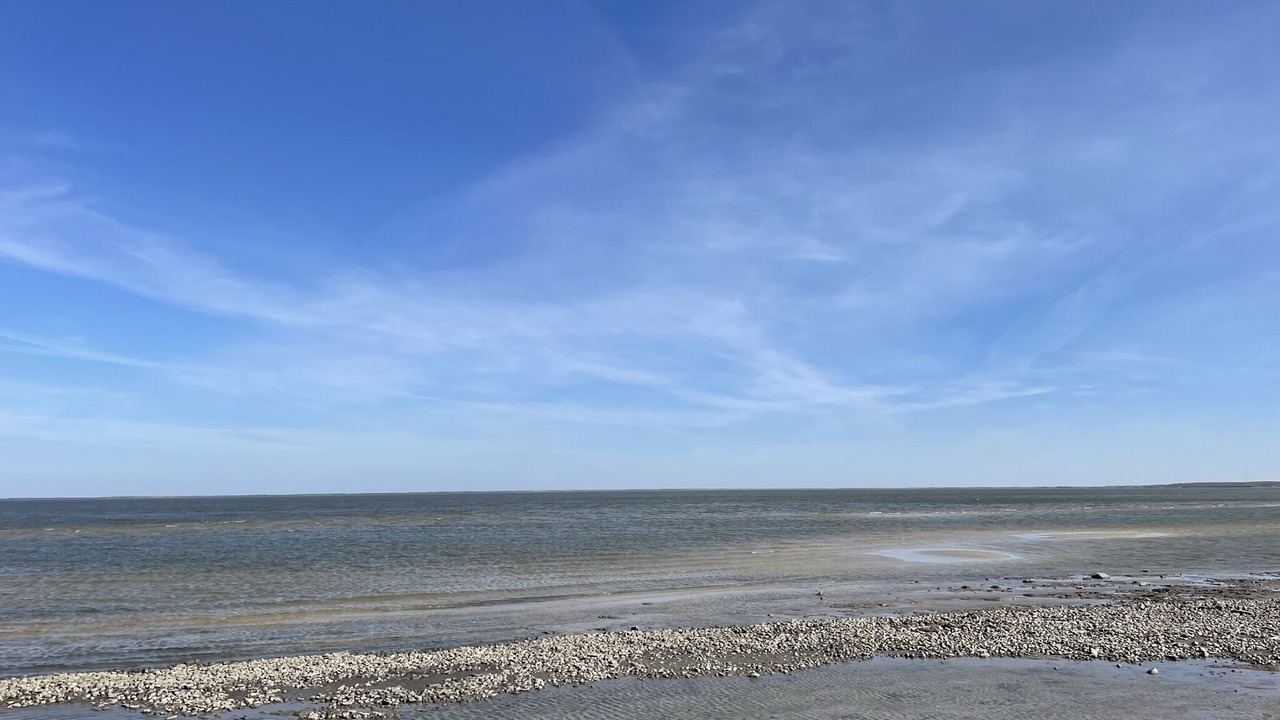 Photo of Others in Traverse Bay