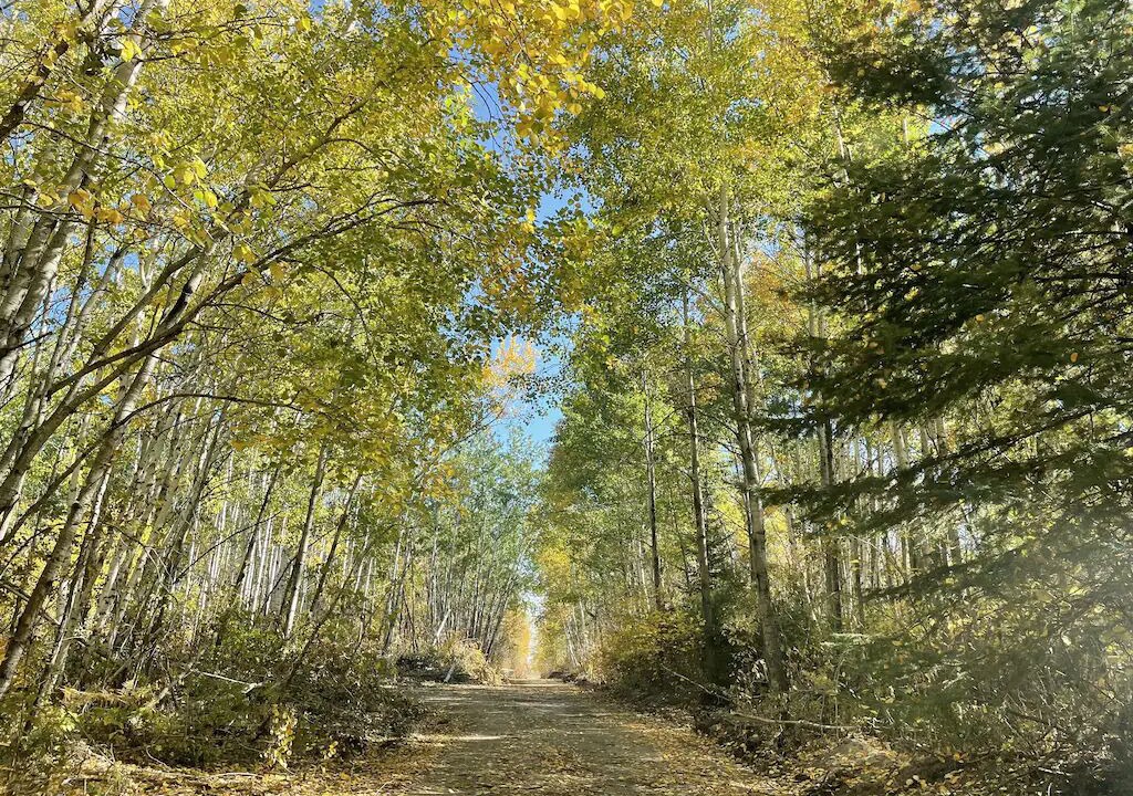 Photo of Outdoor in Traverse Bay