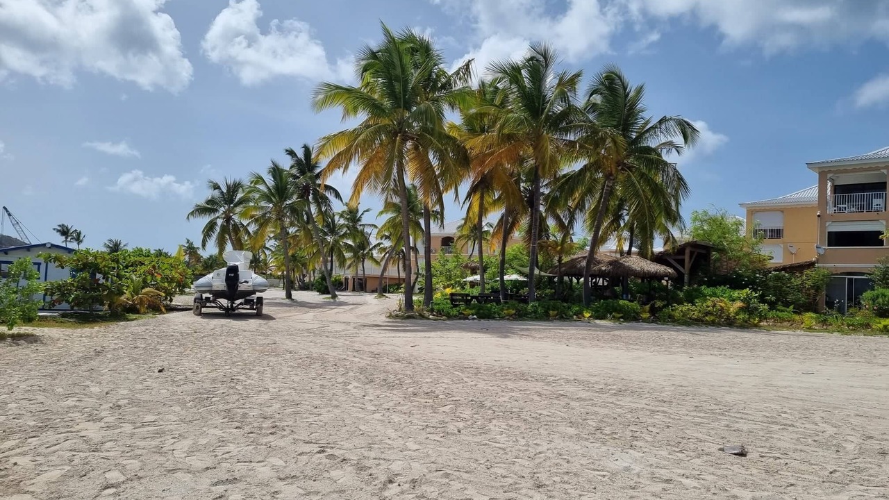 Photo of Others in Nettle Bay