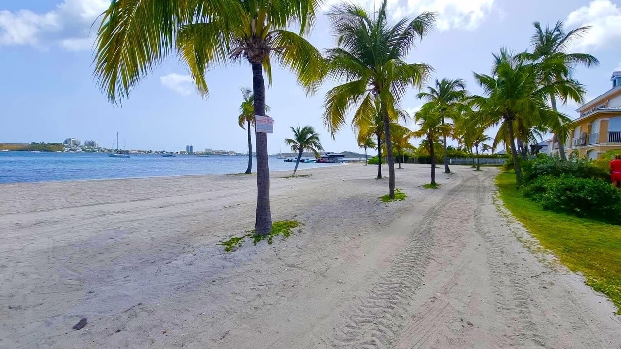 Photo of Others in Nettle Bay