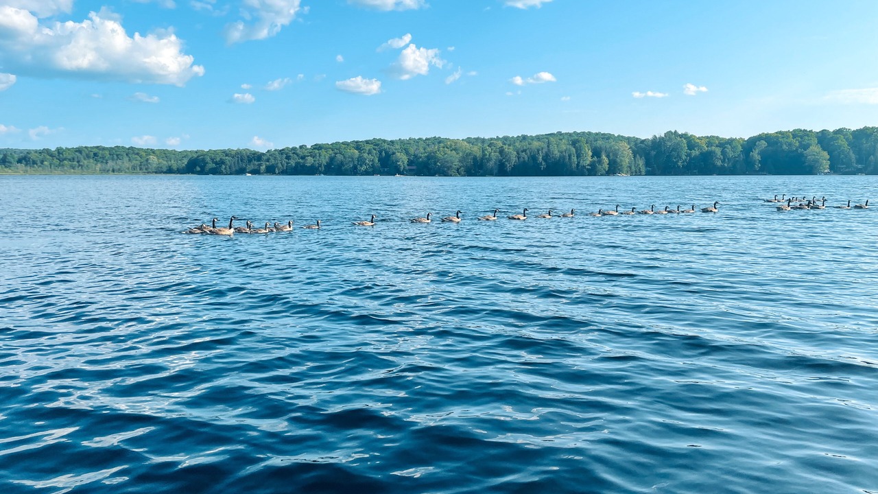 Photo of Others in Haliburton