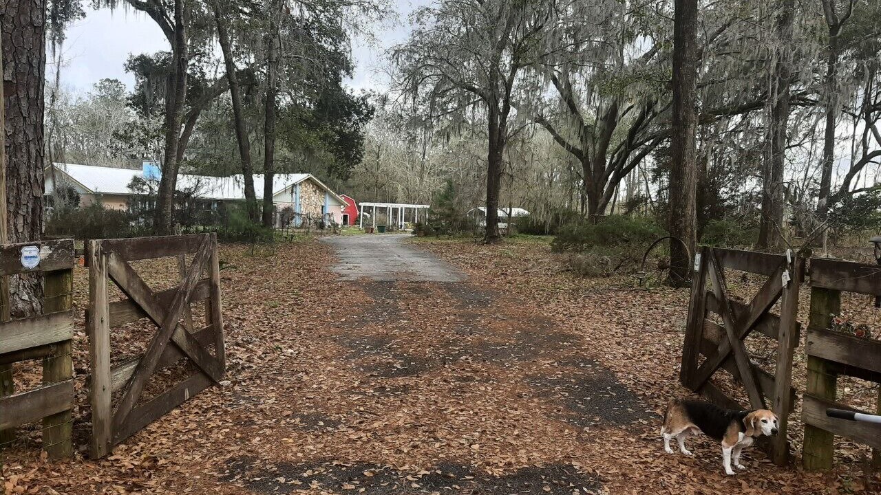 Photo of Outdoor in Graham