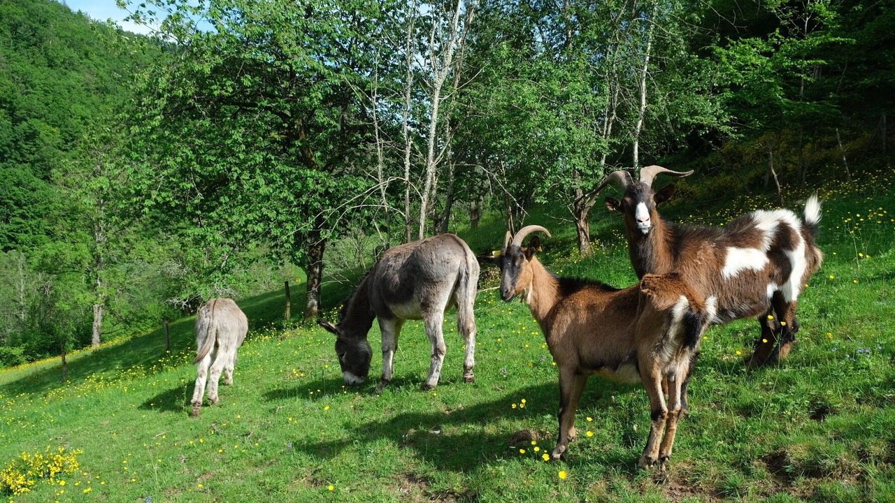 Photo of Outdoor in Rombach-le-Franc