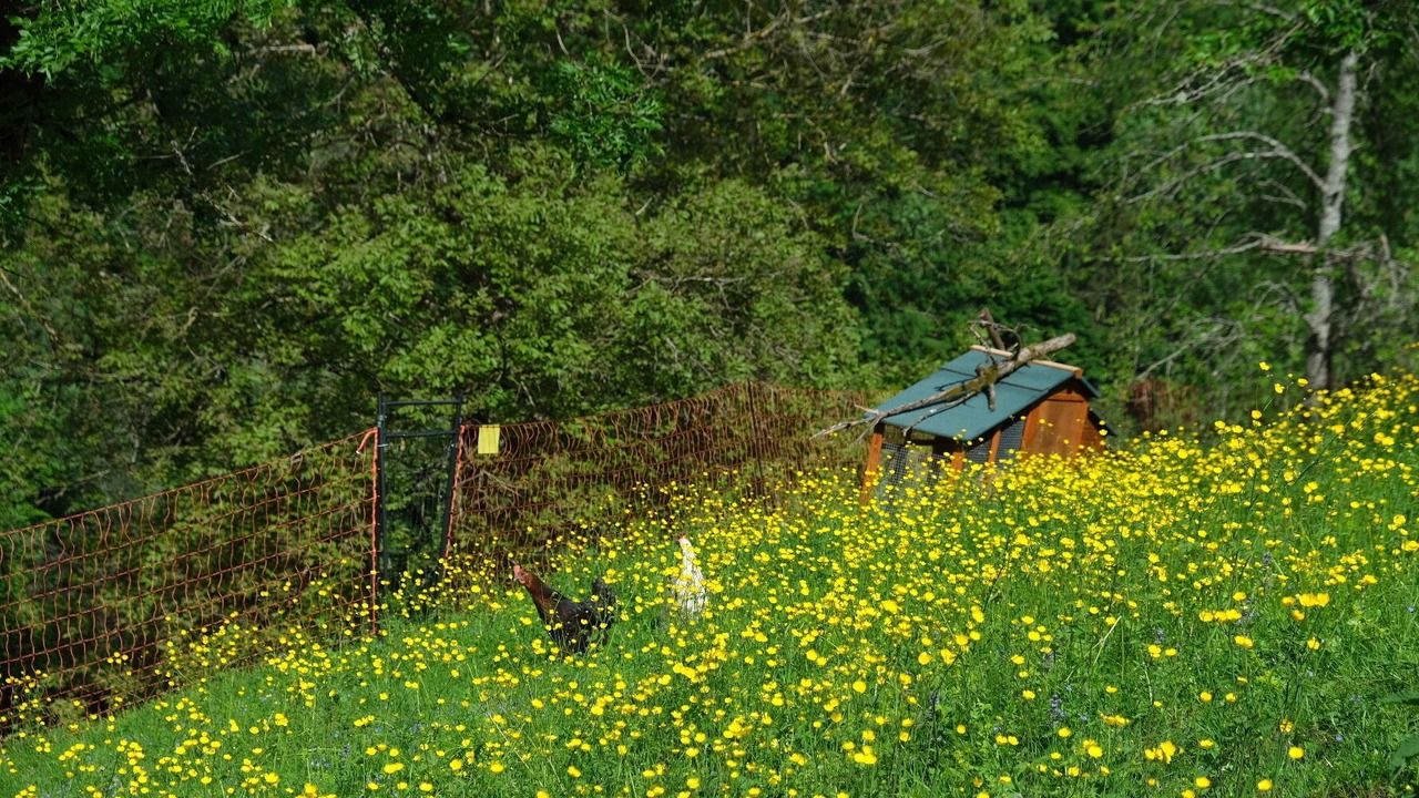 Photo of Outdoor in Rombach-le-Franc