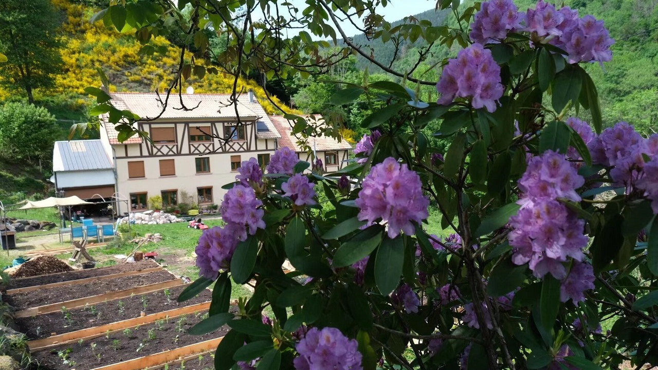 Photo of Outdoor in Rombach-le-Franc