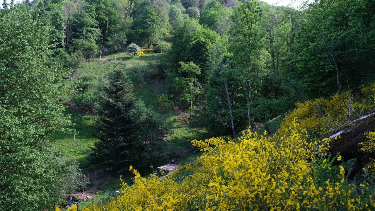 Photo of Outdoor in Rombach-le-Franc