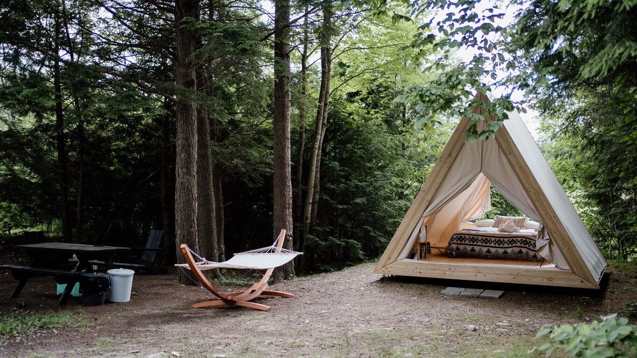 Photo of Others in Thornton