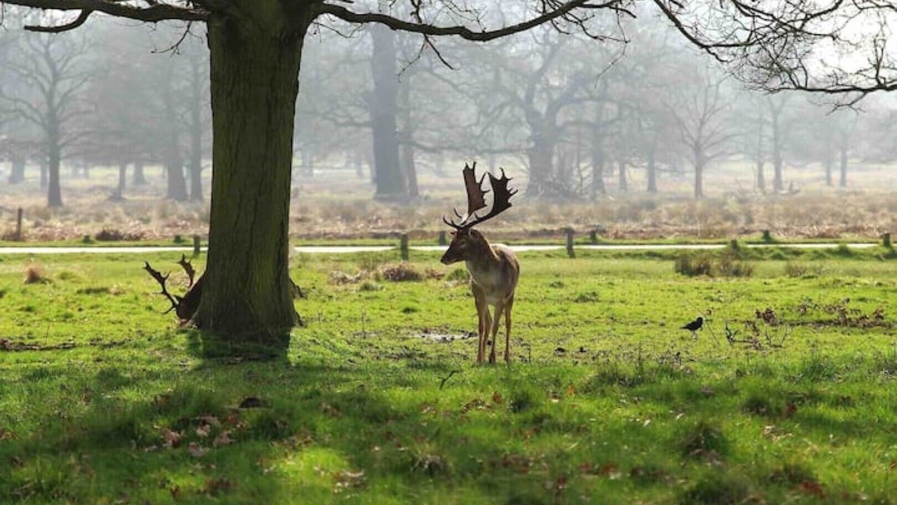 Photo of Others in Beverley