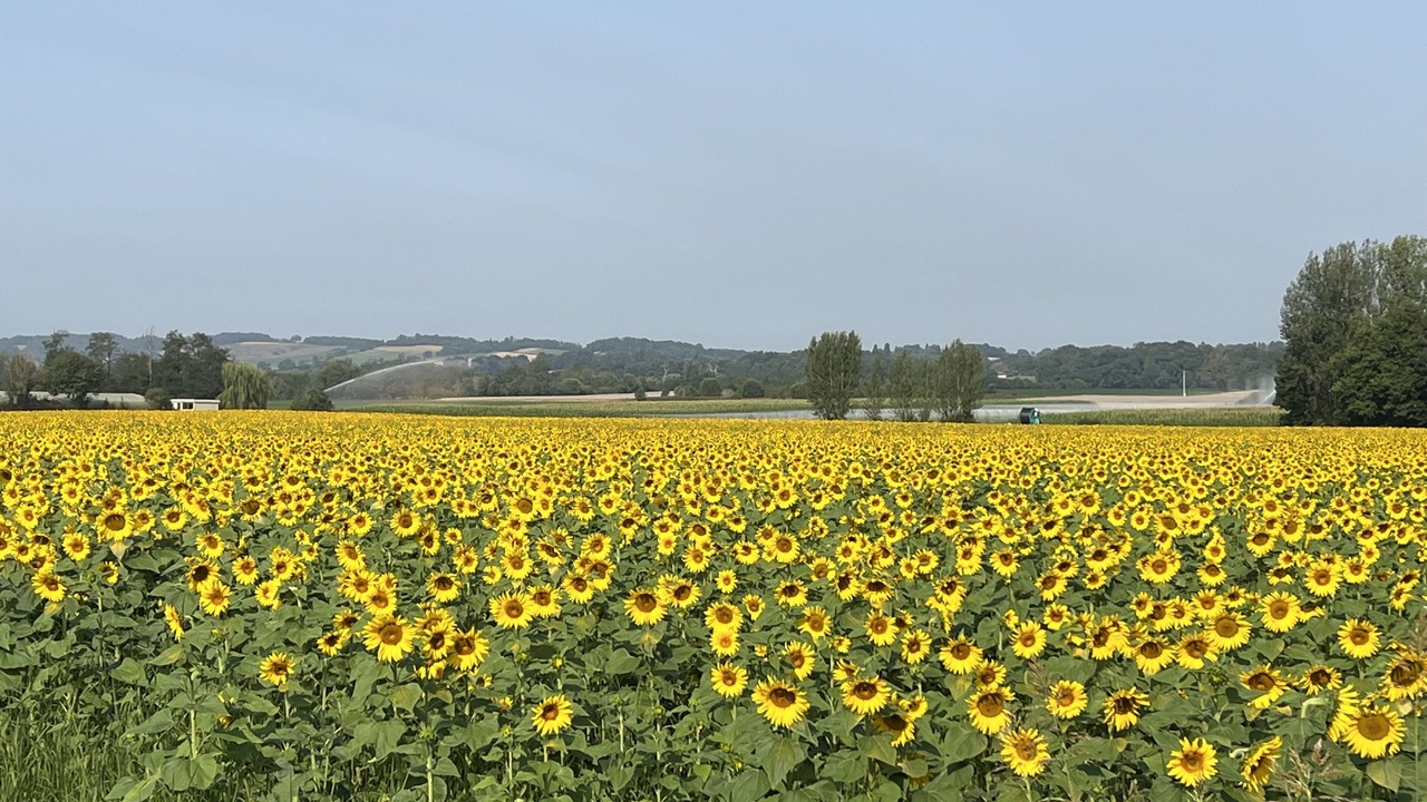 Photo of Outdoor in Boulogne-sur-Gesse