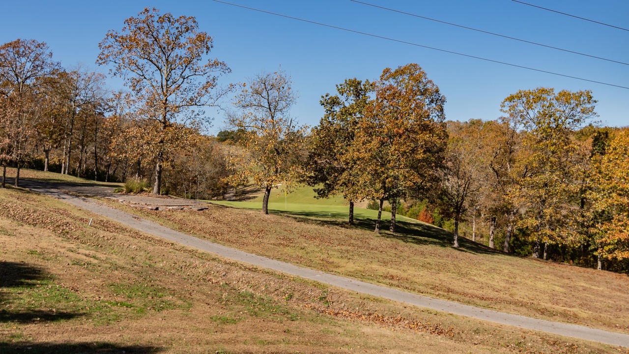 Photo of Outdoor in Branson West