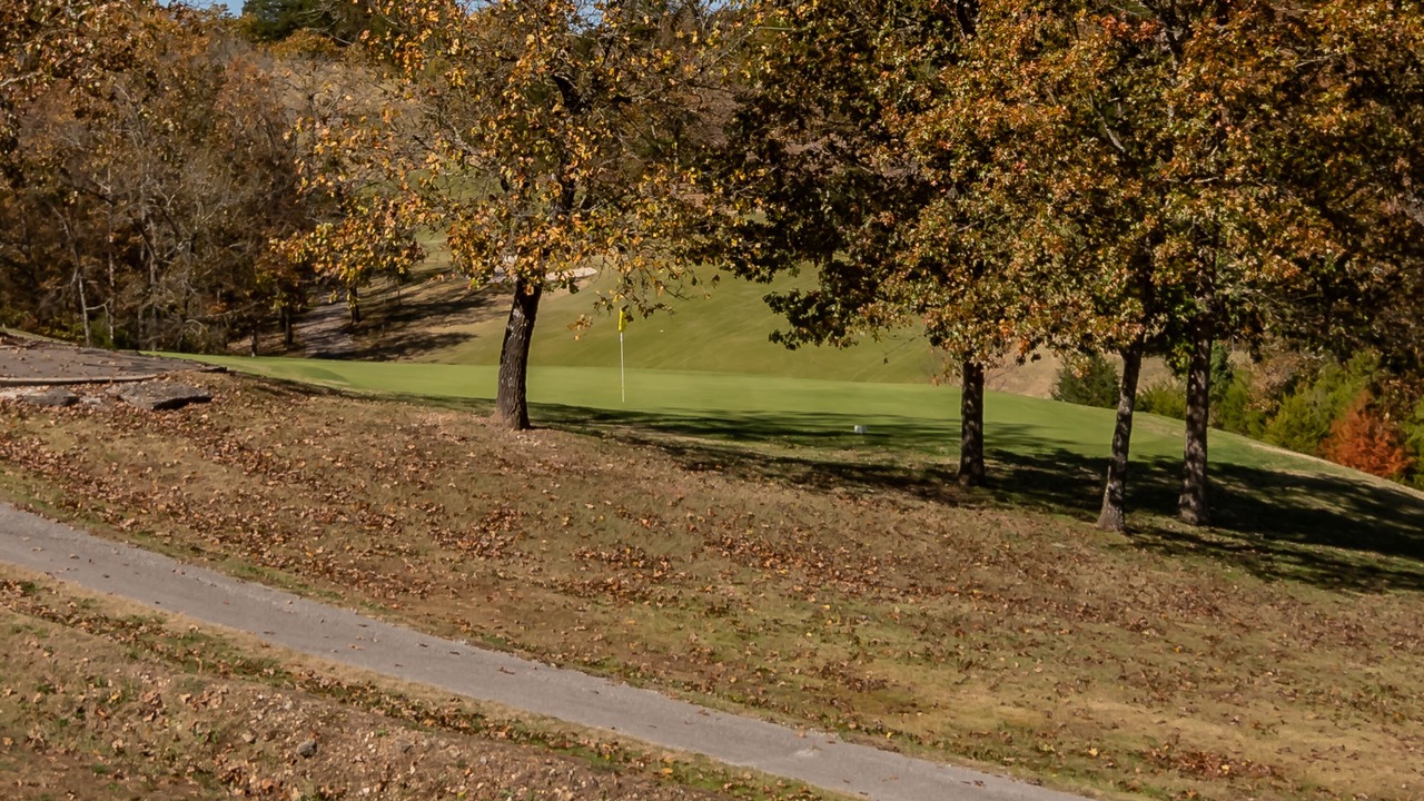 Photo of Others in Branson West