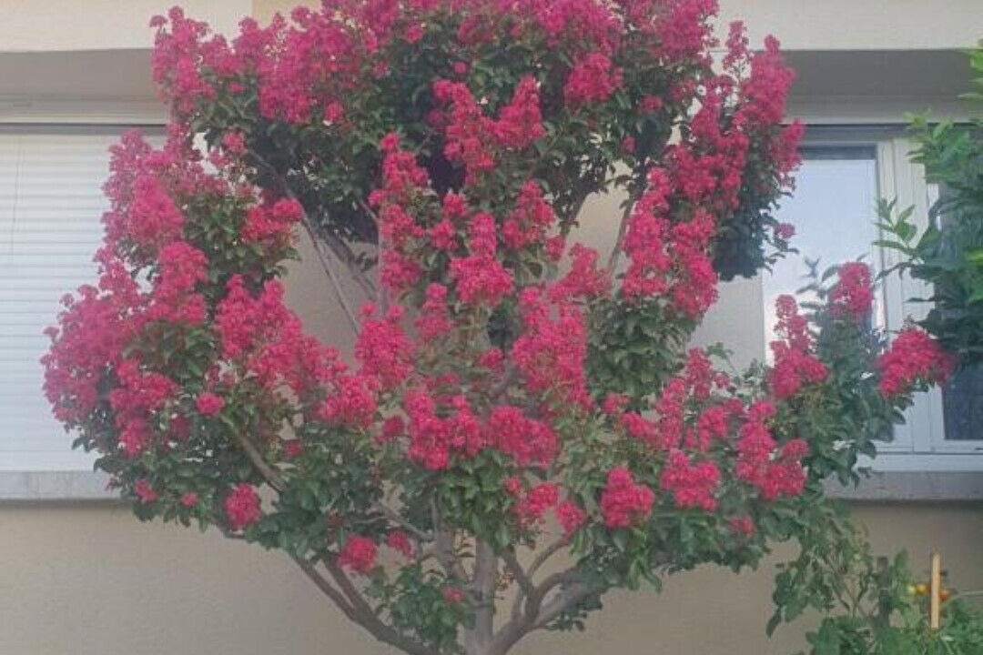 Photo of Outdoor in La Coucourde