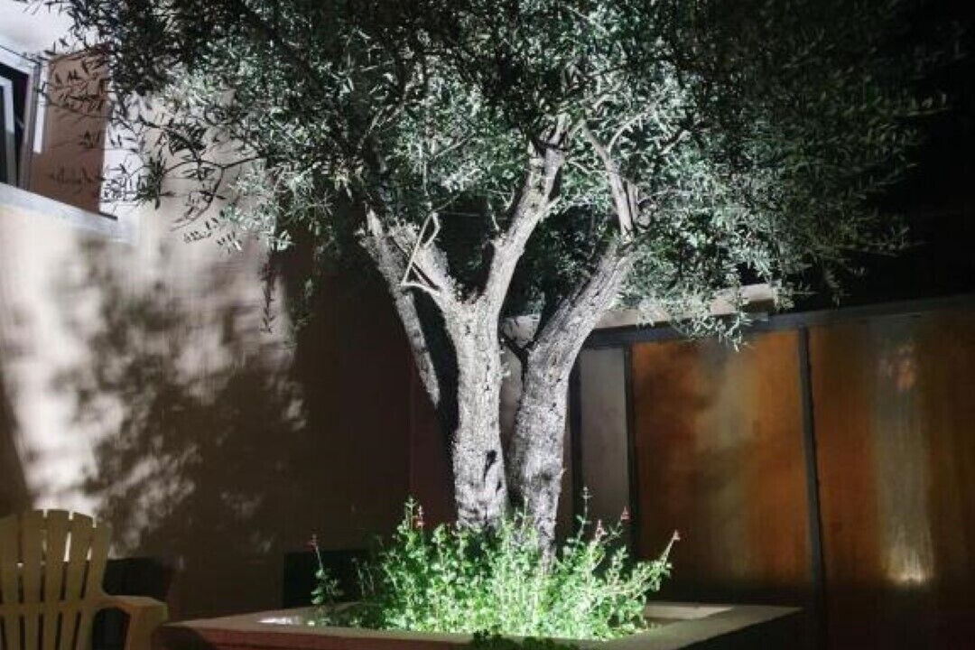 Photo of Outdoor in La Coucourde