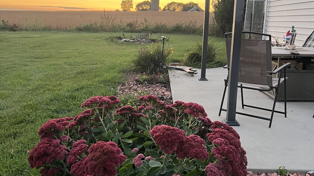 Photo of Patio Balcony in Clay County