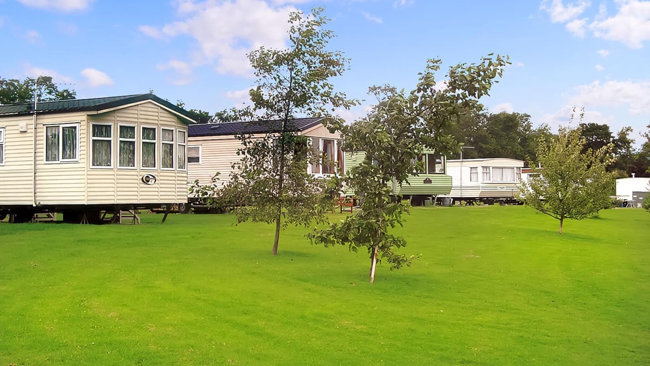 Photo of Others in Thirsk