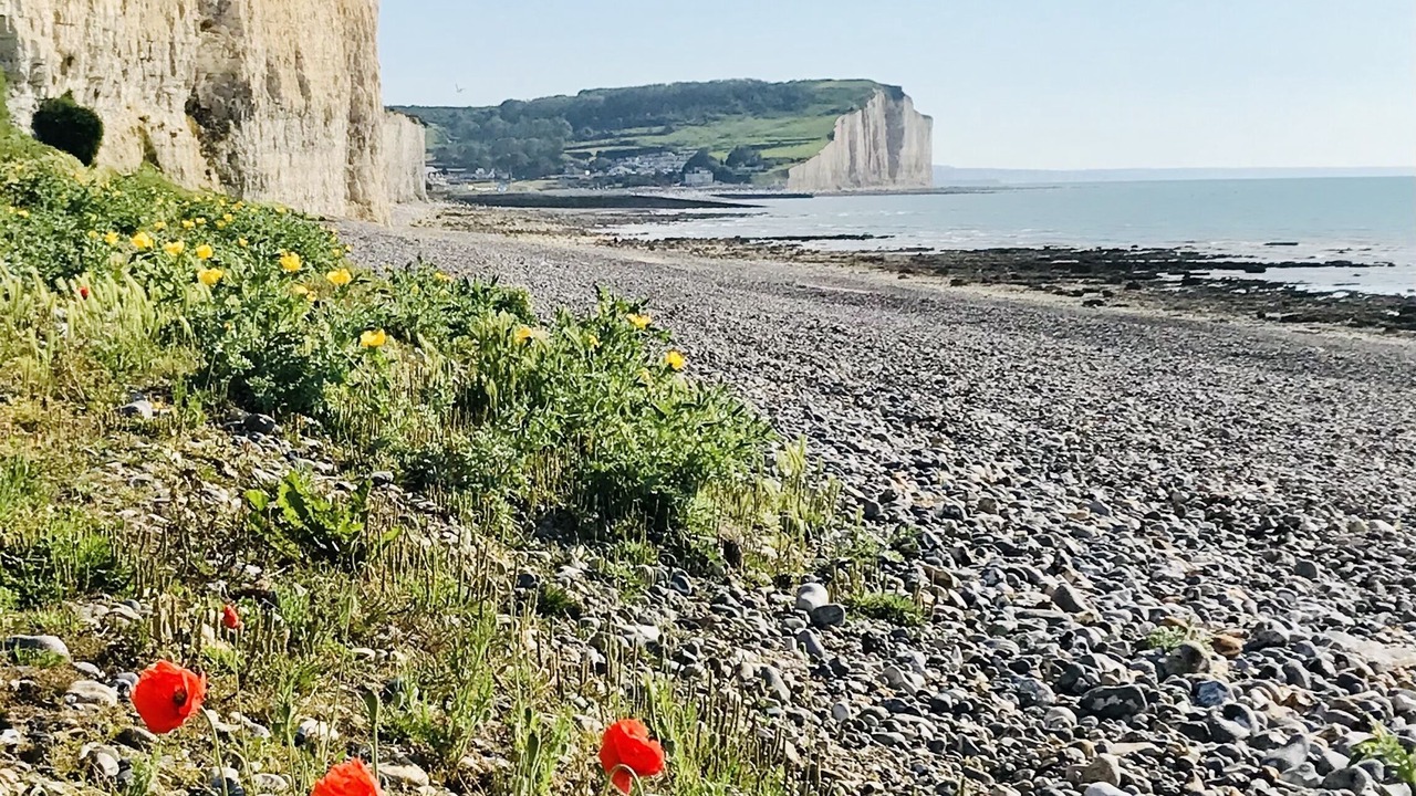 Photo of Others in Le Treport