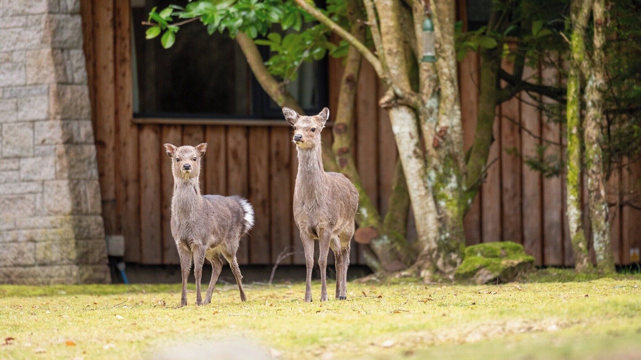 Photo of Others in Whitebridge