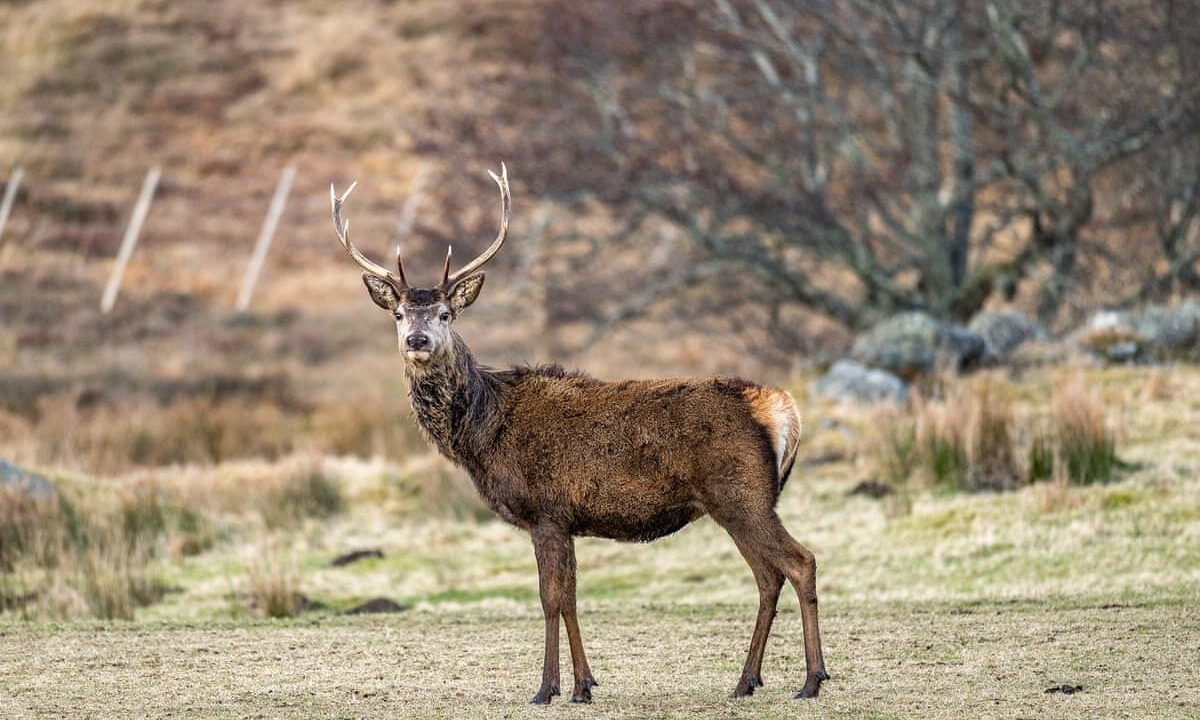 Photo of Others in Whitebridge