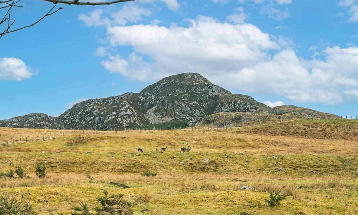 Photo of Others in Whitebridge