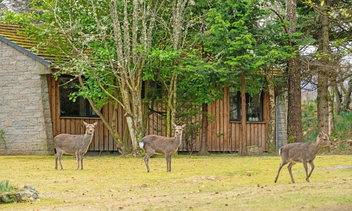 Photo of Others in Whitebridge