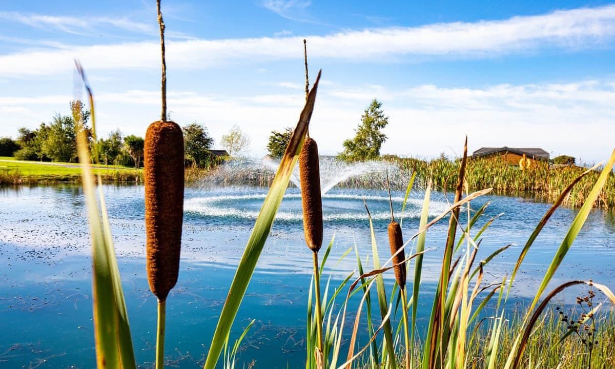 Photo of Others in Llansantffraed