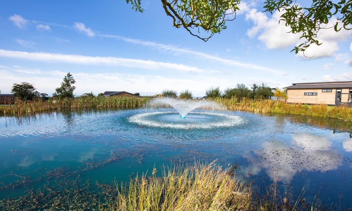 Photo of Others in Llansantffraed