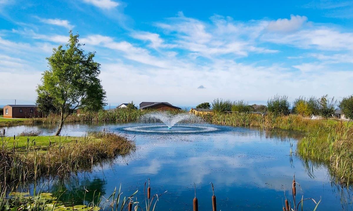 Photo of Others in Llansantffraed